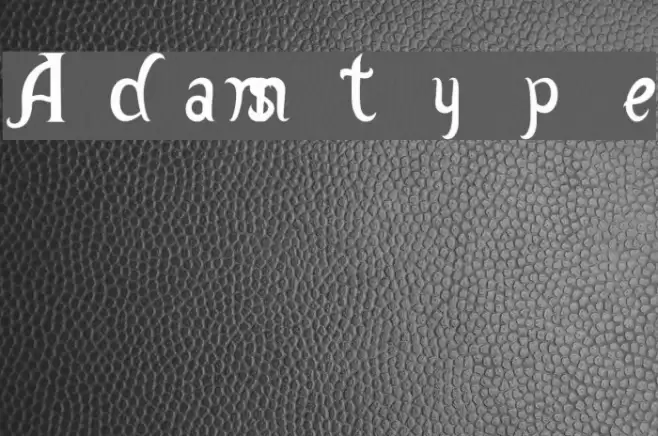 Adamstype Font examples