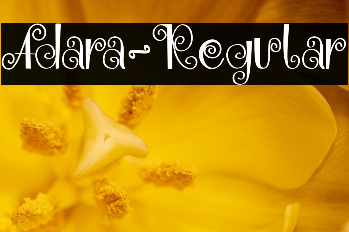 Adara-Regular Example 3