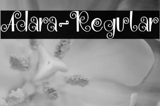 Adara-Regular Caratteri examples