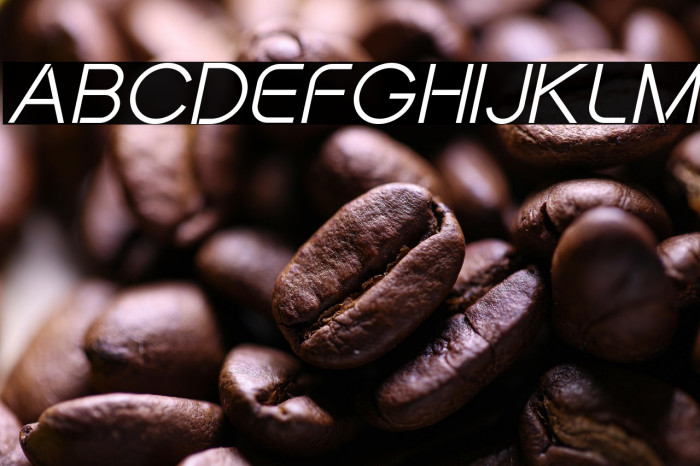 Adarsh Sans Italic Example 1