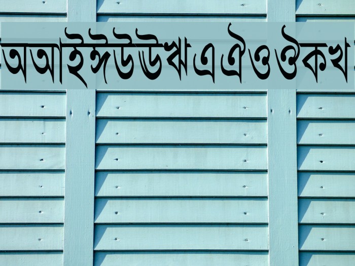 AdarshaLipiCon Font examples