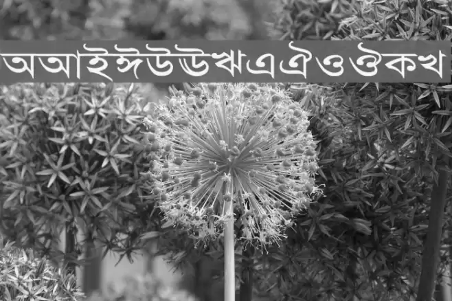 AdarshaLipiExp Font examples