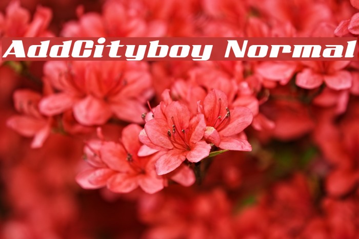 AddCityboy Normal Font examples