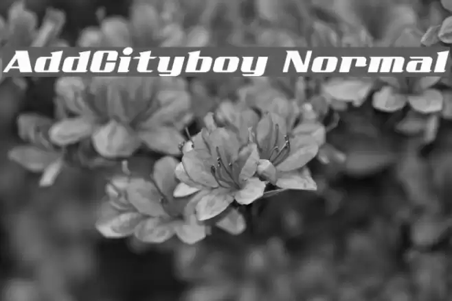 AddCityboy Normal Caratteri examples