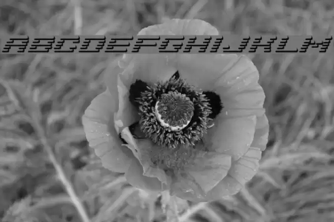 AddShade Polices examples