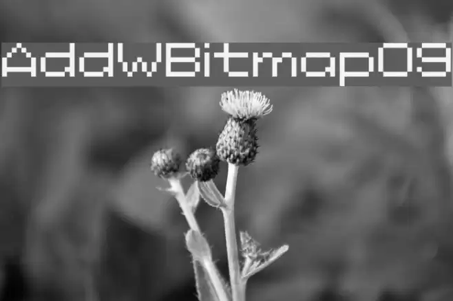 AddWBitmap09 خط examples