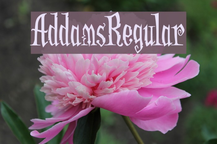 AddamsRegular Font examples