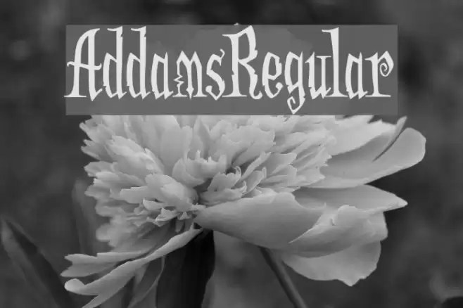 AddamsRegular फ़ॉन्ट examples