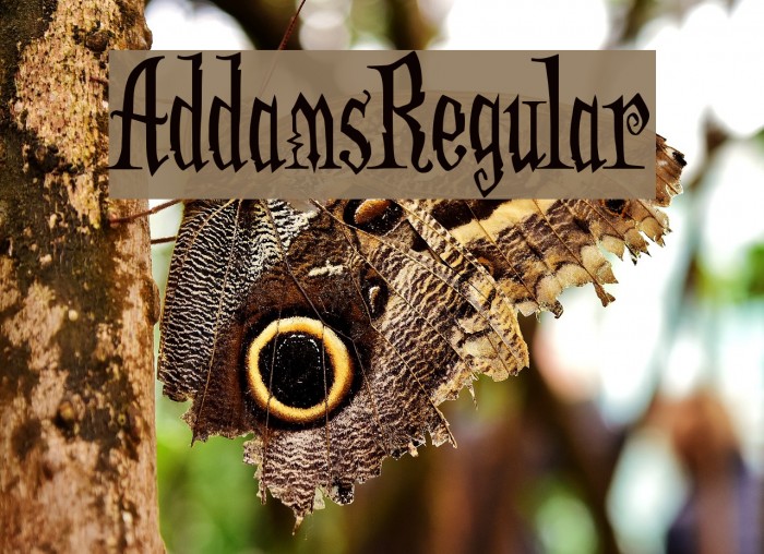 AddamsRegular Font examples