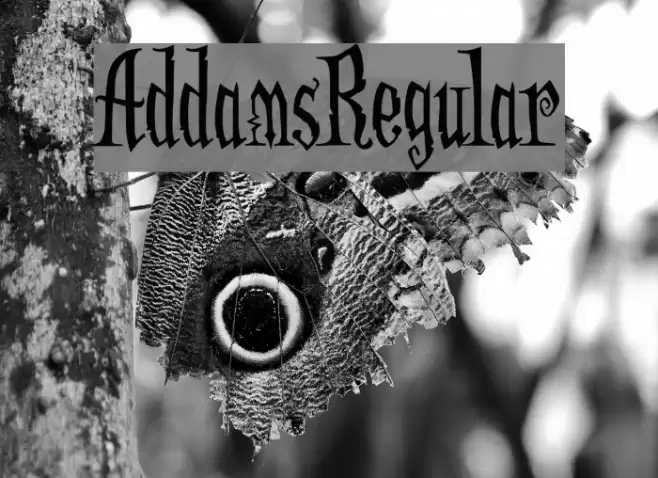 AddamsRegular फ़ॉन्ट examples