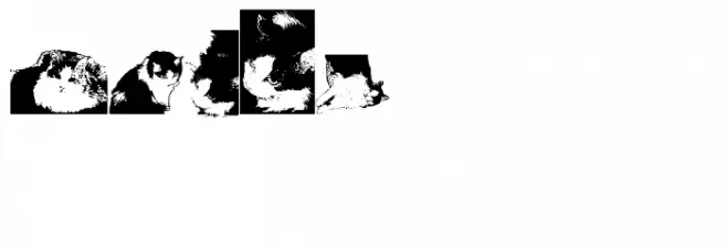 Addie Schriftart Groß