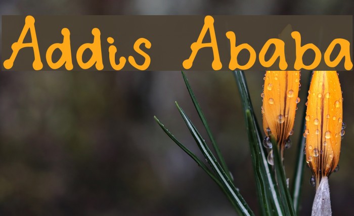 Addis Ababa Font examples