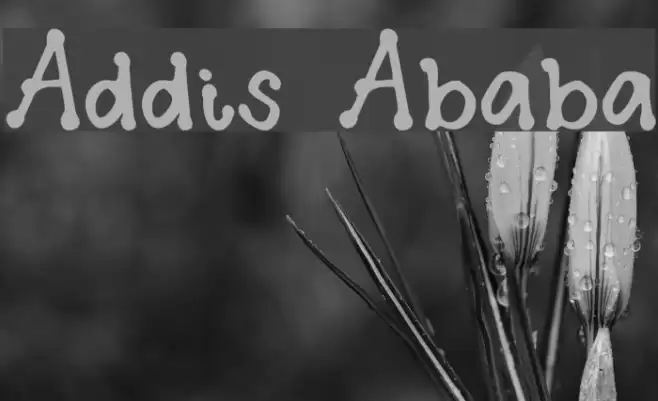 Addis Ababa Шрифта examples