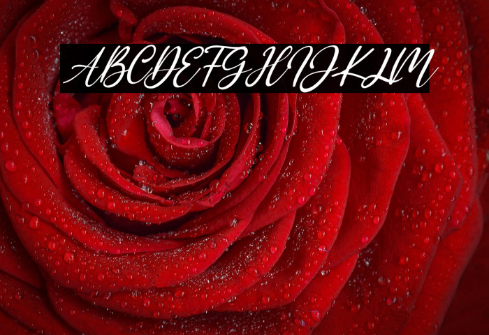 Addison Affson Italic Example 3