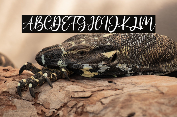 Addison Affson Example 3