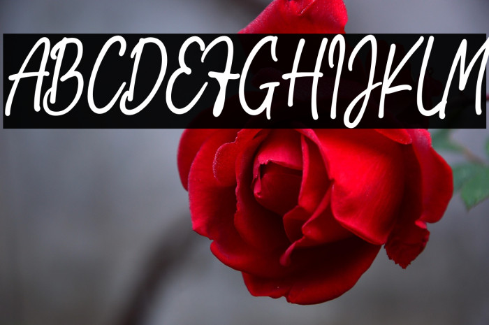 Addison Brother Example 1