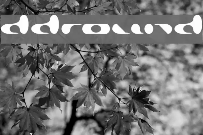 Addround خط examples