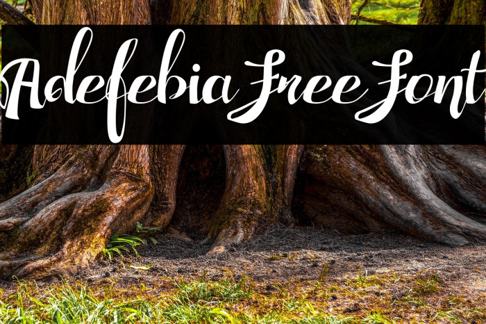 Adefebia Free Font Font examples