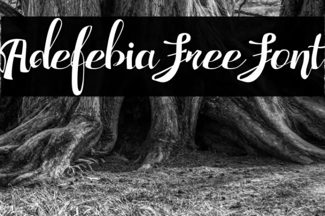 Adefebia Free Font Font examples