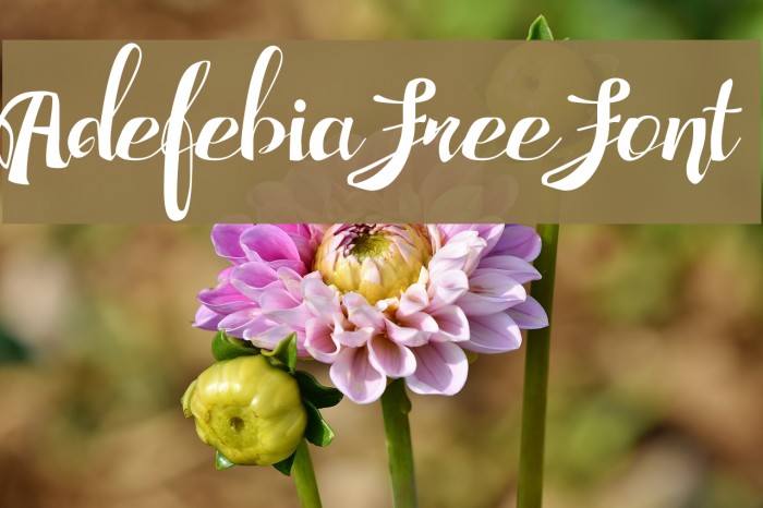 Adefebia Free Font Font examples