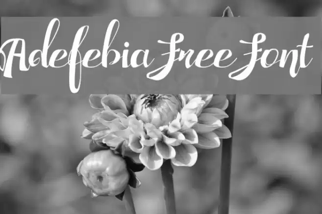 Adefebia Free Font Schriftart examples