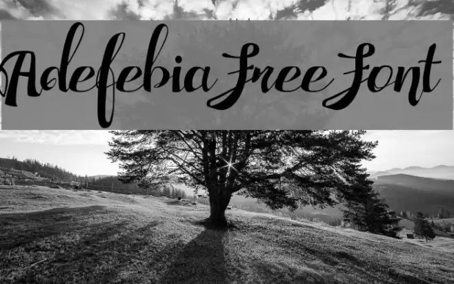 Adefebia Free Font Schriftart examples