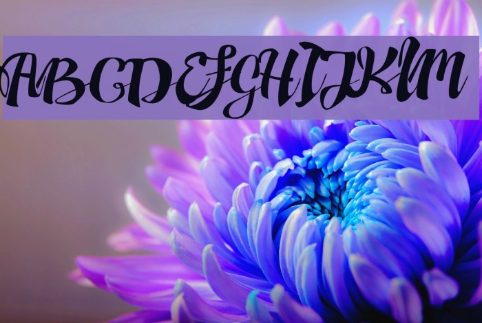 AdefebiaFreeFont Font examples