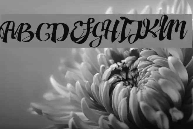 AdefebiaFreeFont Fonte examples