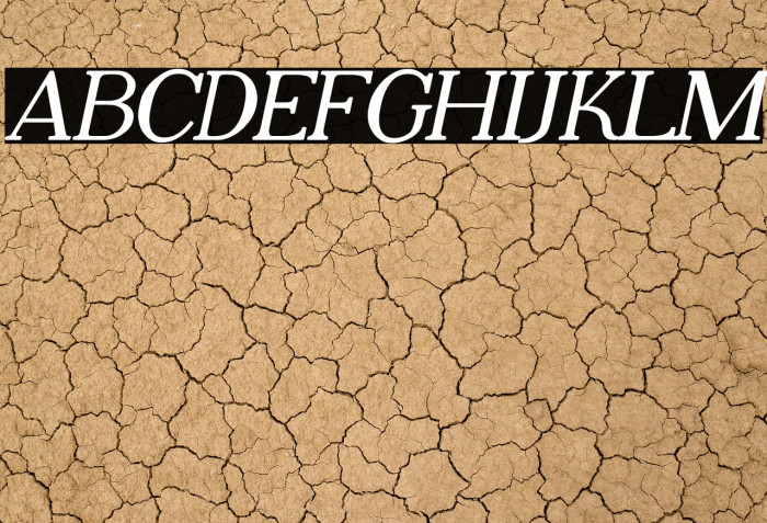 Adega Serif Bold Italic Example 1