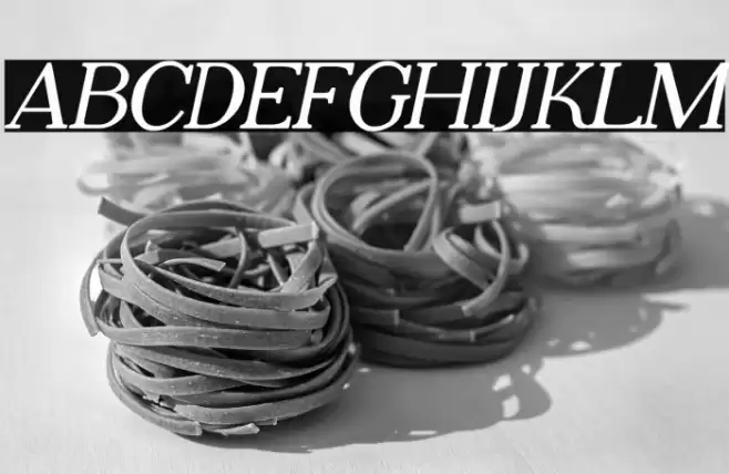 Adega Serif Bold Italic Font examples