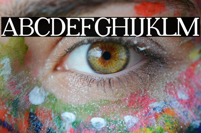 Adega Serif Bold Example 1