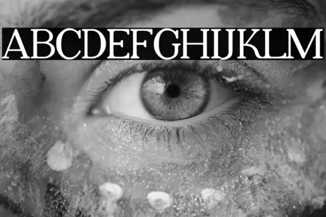 Adega Serif Bold Font examples