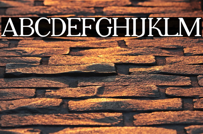 Adega Serif Bold Example 2