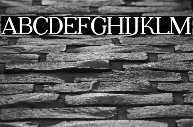 Adega Serif Bold Font examples