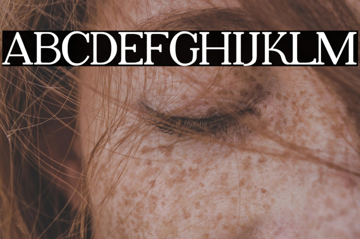 Adega Serif Bold Example 3