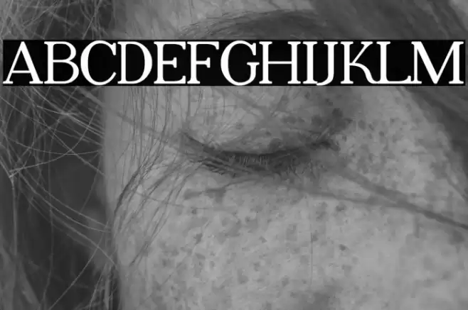 Adega Serif Bold Font examples