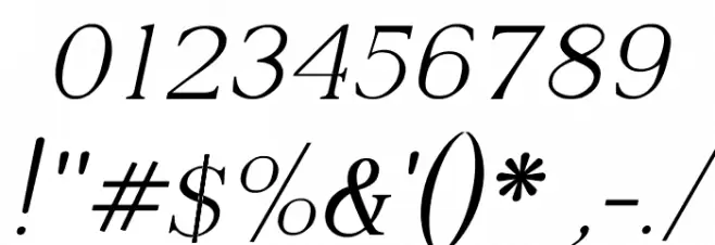 Adega Serif Italic Font OTHER CHARS
