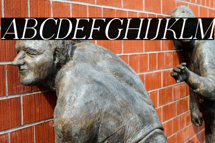 Adega Serif Italic Example 1