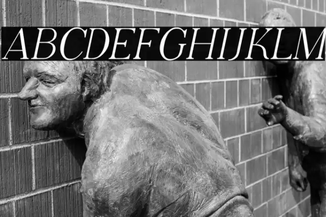 Adega Serif Italic Font examples