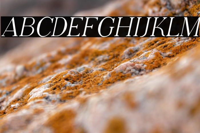 Adega Serif Italic Example 2