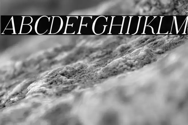 Adega Serif Italic Font examples