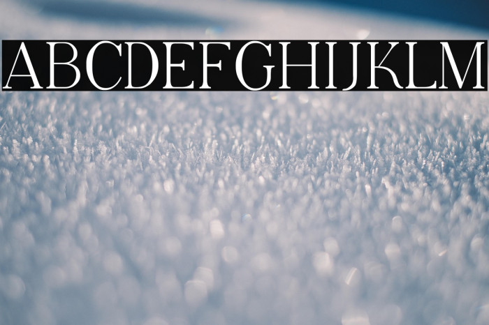 Adega Serif Example 2