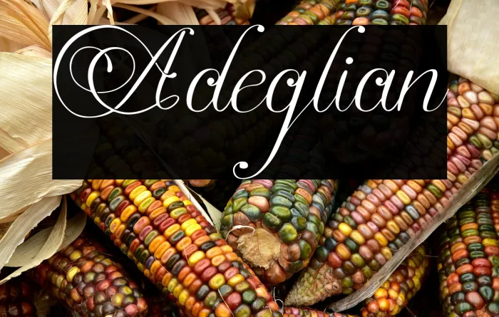 Adeglian Example 1