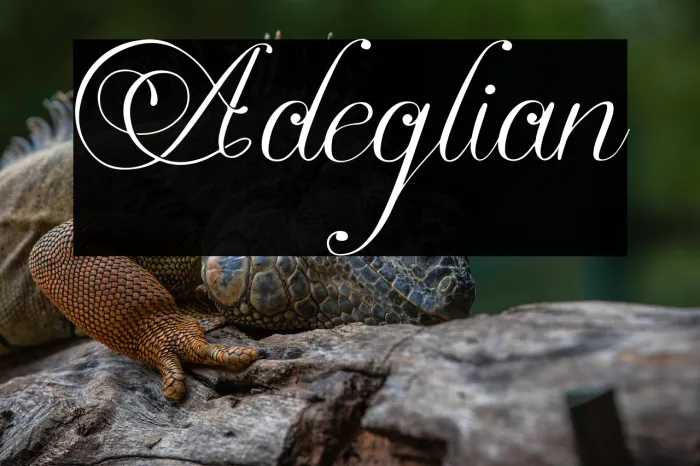 Adeglian Example 2