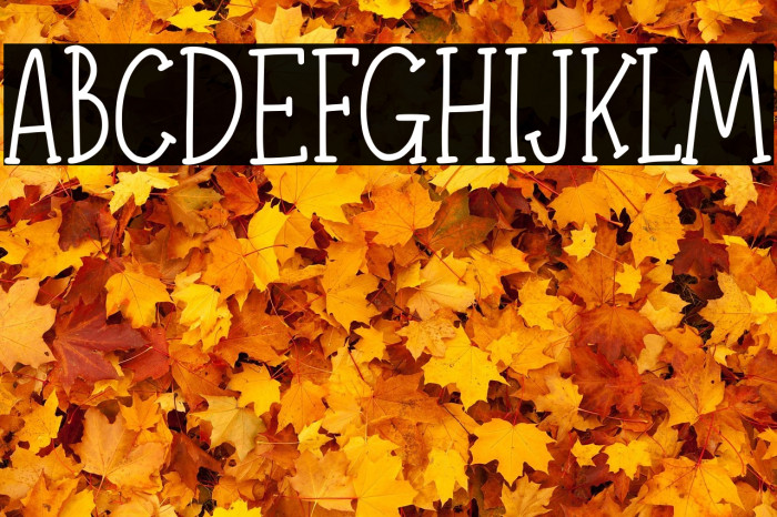 Adelaide & Georgie Demo Version Example 1