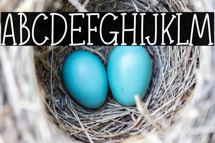 Adelaide & Georgie Demo Version Example 2