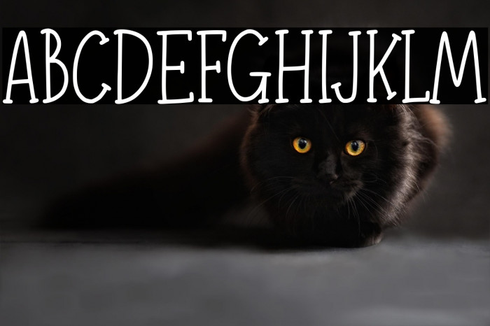 Adelaide & Georgie Demo Version Example 3