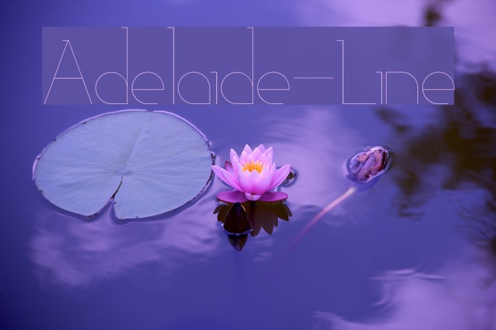 Adelaide-Line Font examples