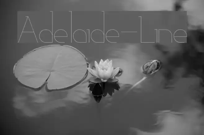 Adelaide-Line Polices examples