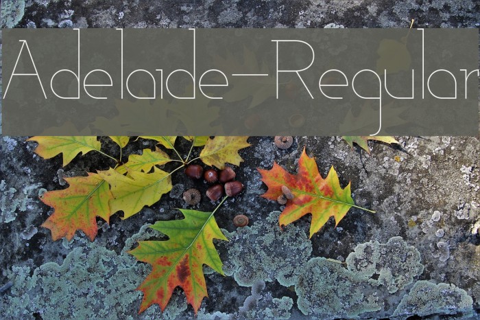 Adelaide-Regular Font examples